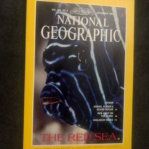 National Geographic Nov.93 The Red Sea vintage Y2K vol.184 no.5. World events